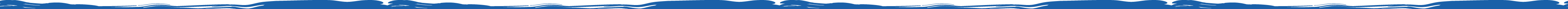 brush_border_stem